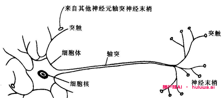 从GPT到CHATGPT4：探索人工智能的前沿-葫芦娃AI-一起学AI葫芦娃AI